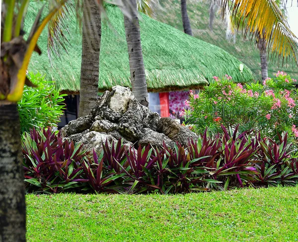 Cancún Hotel Area Strandok Tenger Uszodák Pálmafák Trópusi Növényzet Egy — Stock Fotó