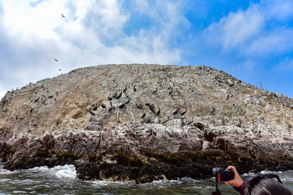 Ballestas Eilanden Uitzicht Stille Oceaan Zijn Grotendeels Samengesteld Uit Rotsformaties — Stockfoto