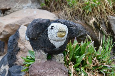 PunoThe Andean Condor, Akbabagiller (Cathartidae) familyasından bir kuş türü. And Dağları 'nda ve Güney Amerika' nın batı kıyısında yaygındır.. 