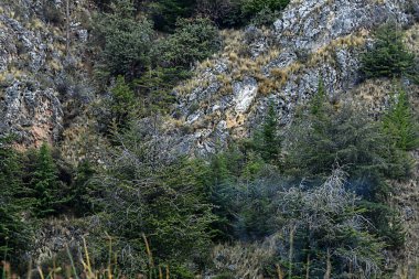 Taquile Adası- Titicaca Gölü Manzarası, Puno şehrinin 45 km açığında Peru kıyısında yer alan bir adadır. 5.5 'e 1.6 kilometre büyüklüğündeki ve 5.72 km2' lik bir alana sahip adada yaklaşık 2.200 kişi yaşamaktadır.. 