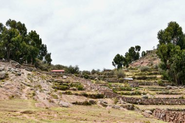 Taquile, Titicaca Gölü 'nün Peru tarafında, Puno şehrinden 45 km açıkta bulunan bir adadır. 5,5 'e 1,6 kilometre büyüklüğündeki ve 5,72 km2' lik bir alanı bulunan adada yaklaşık 2 bin 200 kişi yaşamaktadır. Adanın en yüksek noktası 4050 metredir. 