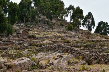 Taquile, Titicaca Gölü 'nün Peru tarafında, Puno şehrinden 45 km açıkta bulunan bir adadır. 5,5 'e 1,6 kilometre büyüklüğündeki ve 5,72 km2' lik bir alanı bulunan adada yaklaşık 2 bin 200 kişi yaşamaktadır. Adanın en yüksek noktası 4050 metredir. 