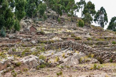 Taquile, Titicaca Gölü 'nün Peru tarafında, Puno şehrinden 45 km açıkta bulunan bir adadır. 5,5 'e 1,6 kilometre büyüklüğündeki ve 5,72 km2' lik bir alanı bulunan adada yaklaşık 2 bin 200 kişi yaşamaktadır. Adanın en yüksek noktası 4050 metredir. 