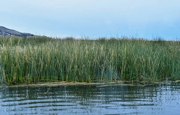 Lago Titicaca Rumano Lacul Frumos Lago Situado Una Altitud 3812 — Foto de Stock