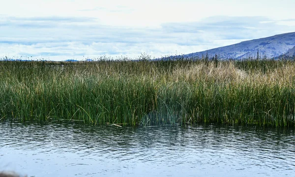 Lago Titicaca Rumano Lacul Frumos Lago Situado Una Altitud 3812 — Foto de Stock