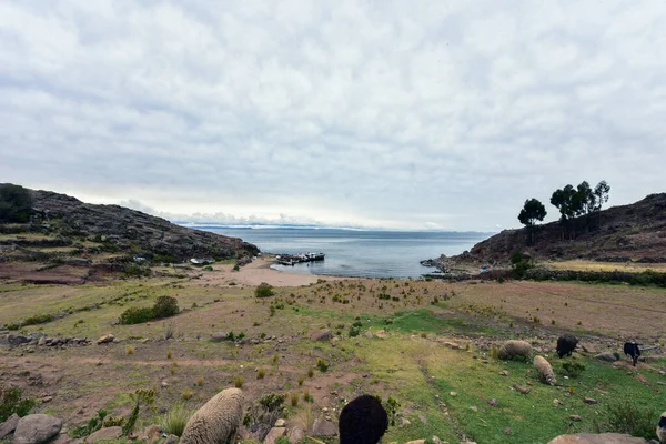 タキーレ Taquile ペルーのティティカカ湖側にある島で プノ市から沖45キロメートルに位置する 島内には約2200人が住んでおり 面積は5 Km2で 大きさは5 6キロメートルである 島の最高点は4 — ストック写真
