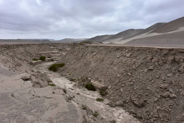 Nazca-South America Tectonic Fault-PeruThe main factor behind this seismic activity is the interaction of two tectonic plates along the west coast of South America. Here, the dense Nazca plate, located in the Eastern Pacific Ocean, meets the South..