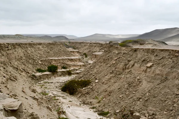 Nazca-South America Tectonic Fault-PeruThe main factor behind this seismic activity is the interaction of two tectonic plates along the west coast of South America. Here, the dense Nazca plate, located in the Eastern Pacific Ocean, meets the South Am