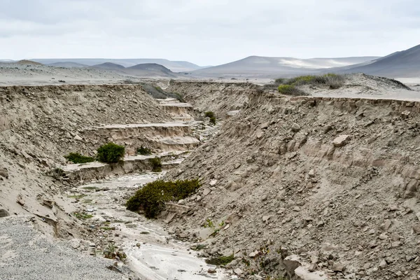 Nazca-South America Tectonic Fault-PeruThe main factor behind this seismic activity is the interaction of two tectonic plates along the west coast of South America. Here, the dense Nazca plate, located in the Eastern Pacific Ocean, meets the South Am