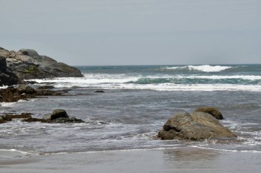 Peru Pasifik sahili, Peru 'nun kuzeyden güneye Pasifik kıyı şeridini takip eden ve böylece And Dağları ile okyanus arasında uzun ve dar bir bölge oluşturan kıyı bölgesidir. Bazı yerler bereketli olsa da