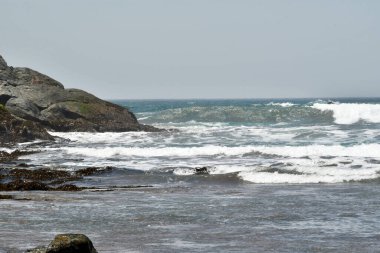 Peru Pasifik sahili, Peru 'nun kuzeyden güneye Pasifik kıyı şeridini takip eden ve böylece And Dağları ile okyanus arasında uzun ve dar bir bölge oluşturan kıyı bölgesidir. Bazı yerler bereketli olsa da