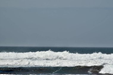 Peru Pasifik sahili, Peru 'nun kuzeyden güneye Pasifik kıyı şeridini takip eden ve böylece And Dağları ile okyanus arasında uzun ve dar bir bölge oluşturan kıyı bölgesidir. Bazı yerler bereketli olsa da