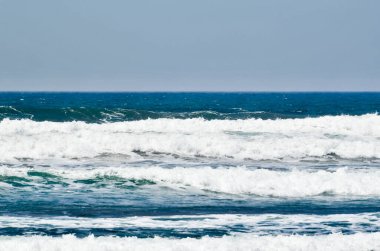 Peru Pasifik sahili, Peru 'nun kuzeyden güneye Pasifik kıyı şeridini takip eden ve böylece And Dağları ile okyanus arasında uzun ve dar bir bölge oluşturan kıyı bölgesidir. Bazı yerler bereketli olsa da
