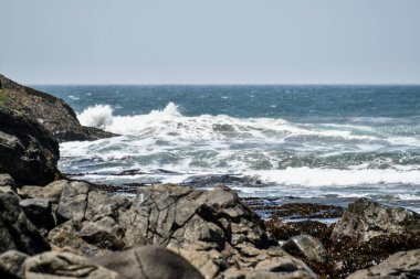 Peru Pasifik sahili, Peru 'nun kuzeyden güneye Pasifik kıyı şeridini takip eden ve böylece And Dağları ile okyanus arasında uzun ve dar bir bölge oluşturan kıyı bölgesidir. Bazı yerler bereketli olsa da