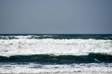 Peru Pasifik sahili, Peru 'nun kuzeyden güneye Pasifik kıyı şeridini takip eden ve böylece And Dağları ile okyanus arasında uzun ve dar bir bölge oluşturan kıyı bölgesidir. Bazı yerler bereketli olsa da