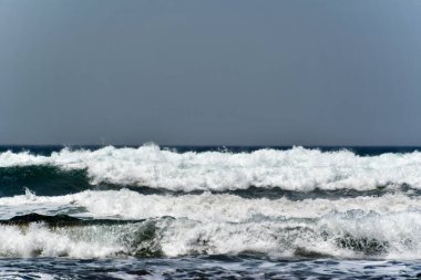 Peru Pasifik sahili, Peru 'nun kuzeyden güneye Pasifik kıyı şeridini takip eden ve böylece And Dağları ile okyanus arasında uzun ve dar bir bölge oluşturan kıyı bölgesidir. Bazı yerler bereketli olsa da