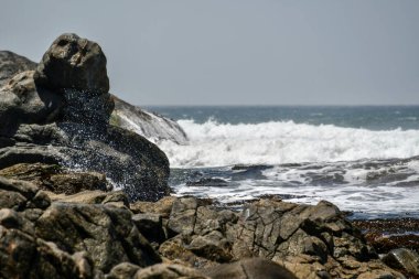 Peru Pasifik sahili, Peru 'nun kuzeyden güneye Pasifik kıyı şeridini takip eden ve böylece And Dağları ile okyanus arasında uzun ve dar bir bölge oluşturan kıyı bölgesidir. Bazı yerler bereketli olsa da