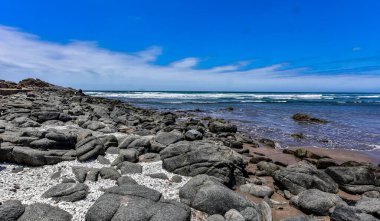 Peru Pasifik sahili, Peru 'nun kuzeyden güneye Pasifik kıyı şeridini takip eden ve böylece And Dağları ile okyanus arasında uzun ve dar bir bölge oluşturan kıyı bölgesidir. Bazı yerler bereketli olsa da