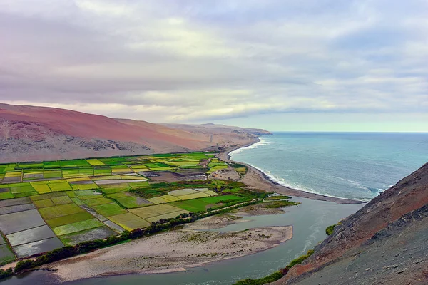 Die Peruanische Pazifikküste Dies Ist Die Küstenregion Perus Die Der — Stockfoto