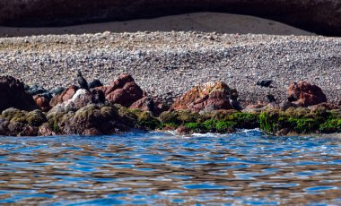 Ballestas Adaları büyük oranda kaya oluşumlarından oluşur, dalgalar ve rüzgarlar tarafından aşınır, şaşırtıcı şekillerde. Adaların koruma statüsü vardır çünkü kuş ve memeli ekosistemi korunmalıdır ve turistler buradan geçer ve... 