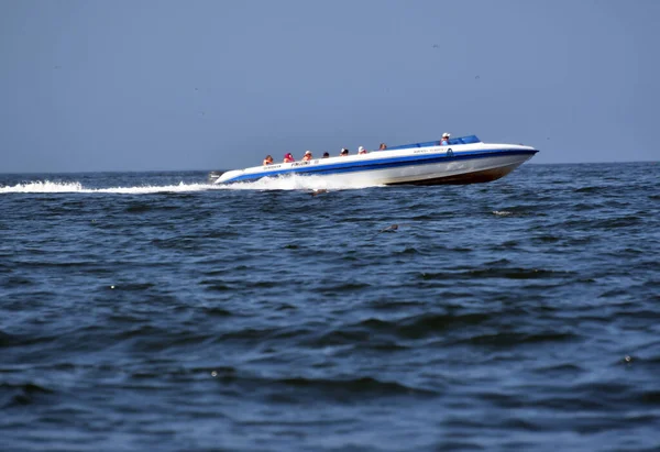 Boot Ist Ein Oberbegriff Für Alle Decksboote Bis Lang Selbstfahrend — Stockfoto