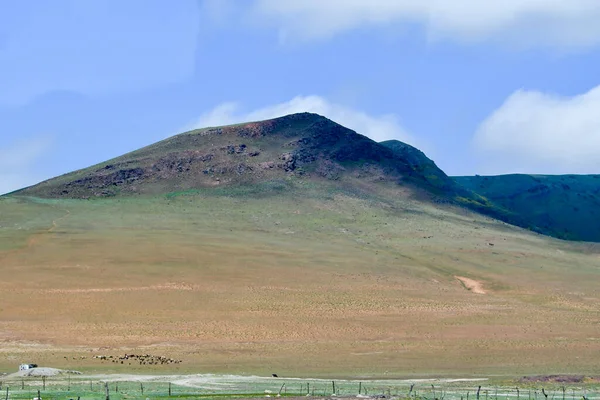 Cordilheira Dos Andes Peru Maior Cordilheira Mundo Eles Estendem Longo — Fotografia de Stock