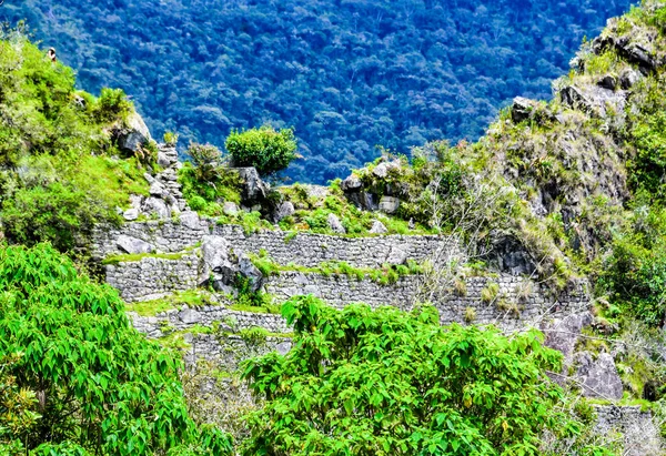 Machu Pichu Obklopen Tajemstvím Šarmem Tradicemi Nejznámějším Symbolem Říše Inků — Stock fotografie