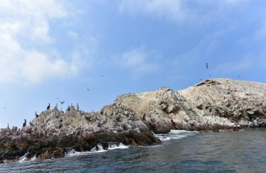 Ballestas Adaları büyük oranda kaya oluşumlarından oluşur, dalgalar ve rüzgarlar tarafından aşınır, şaşırtıcı şekillerde. Adaların korunma statüsü vardır, çünkü kuş ve memeli nüfusun ekosistemi korunmalıdır ve turistler de korunmalıdır. 
