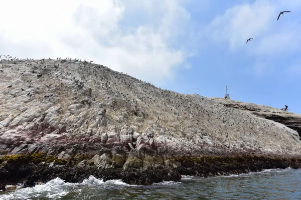 Las Islas Ballestas Están Compuestas Gran Parte Por Formaciones Rocosas —  Fotos de Stock