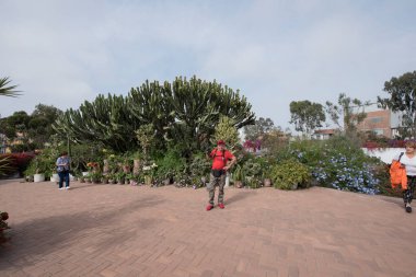 Larco-Lima-Peru Müzesi 'nin önünde çiçek ve kaktüsle çitlerle.