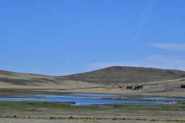 Peru And Dağları 'nın yüksek Altiplanosundaki göller - Colca Vadisi, sadece kanyon ve akbabalar için değil, aynı zamanda İnkalar' ın Kayıp Vadisi olarak adlandırılan vadi için de görülmeye değer bir yerdir..