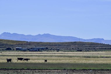 And Dağları Altiplano 'dan And Dağları' nın manzarası dünyanın en uzun sıradağlarıdır. Güney Amerika 'nın batı kıyısı boyunca uzanırlar ve aslında Peru, Bolivya gibi bazı bölgelerde iki ya da daha fazla paralel zincirden oluşur., ...