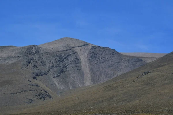 Altiplanoから見るアンデス山脈アンデス山脈は世界で最も長い山脈です 南米の西海岸に沿って伸び ペルー ボリビアなどのいくつかの地域で2つ以上の平行鎖で構成されています — ストック写真