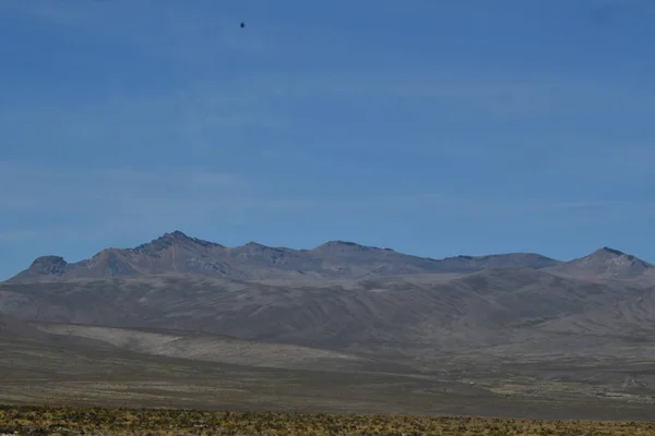 Cordilleras Los Andes Vista Desde Altiplanolas Montañas Los Andes Son —  Fotos de Stock