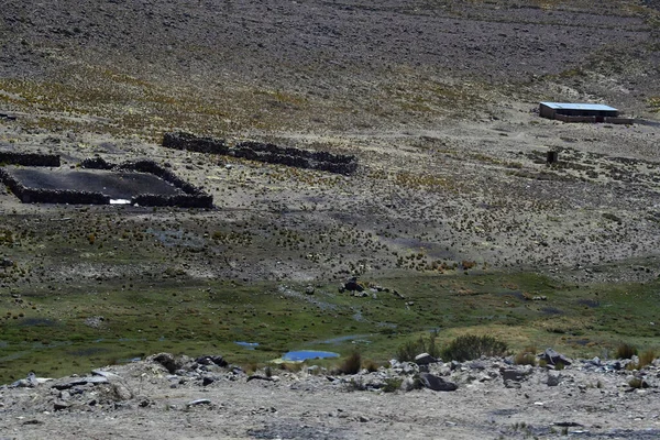 Altiplano Eller Den Andinska Platån Sydcentralamerika Det Område Där Anderna — Stockfoto