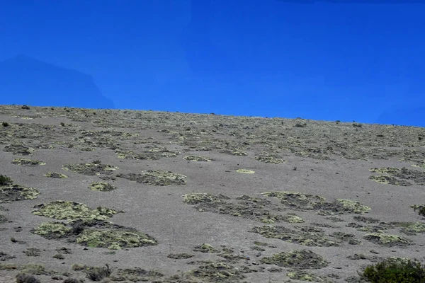 Altiplano Meseta Andina América Central Del Sur Área Donde Los —  Fotos de Stock