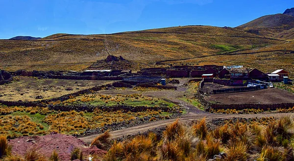 Altiplano Plateau Andin Amérique Centrale Sud Est Région Les Andes — Photo