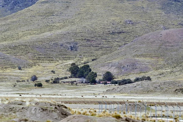 Altiplano Oder Das Andenplateau Südamerika Ist Das Gebiet Dem Die — Stockfoto