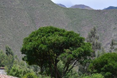 And Dağları dünyanın en uzun sıradağlarıdır. Güney Amerika 'nın batı kıyısı boyunca uzanırlar ve aslında Peru, Bolivya, Kuzey Şili ve Arjantin gibi bazı bölgelerde iki ya da daha fazla paralel zincirden oluşur.....
