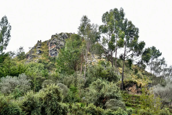 Tambomachay Σπήλαιο Όπου Επισκέπτες Μεθούν Quechua Γνώμη Των Αρχαιολόγων Είναι — Φωτογραφία Αρχείου