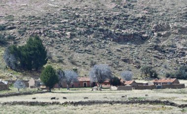 Peru And Dağları 'nın yüksek Altiplanosu. Sadece kanyon ve akbabalar için değil, aynı zamanda etkileyici ön-Kolombiya teraslarının yer aldığı İnkalar' ın Kayıp Vadisi olarak da bilinen vadi için de görülmeye değer bir yerdir.