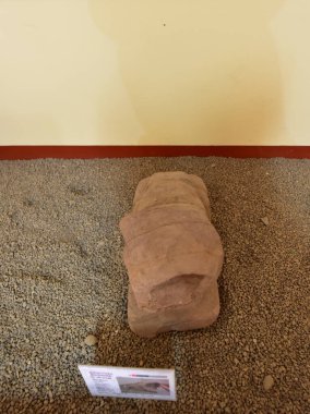 Pukara Arkeoloji Kompleksi-Pukara Müzesi. Yılan ve kertenkeleleri temsil eden yontulmuş heykellerle. İç avlusu olan küçük bir evde, korunmak için burada bulunan cisimler meraklı halka açıktır..