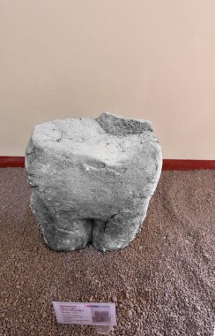 Pukara Arkeoloji Kompleksi-Pukara Müzesi. Yılan ve kertenkeleleri temsil eden yontulmuş heykellerle. İç avlusu olan küçük bir evde, korunmak için burada bulunan cisimler meraklı halka açıktır..