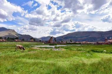 Raqch 'i ya da Wiracocha Tapınağı, Cusco' nun 110 km güneyinde yer alan önemli bir İnka arkeolojik alanıdır. Viracocha (Quechua 'da Wiracocha) İnka tarafından Titicaca Gölü' nden dünyanın yaratıcısı olarak kabul edilmiştir..