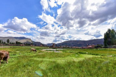 Raqch 'i ya da Wiracocha Tapınağı, Cusco' nun 110 km güneyinde yer alan önemli bir İnka arkeolojik alanıdır. Viracocha (Quechua 'da Wiracocha) İnka tarafından Titicaca Gölü' nden dünyanın yaratıcısı olarak kabul edilmiştir..