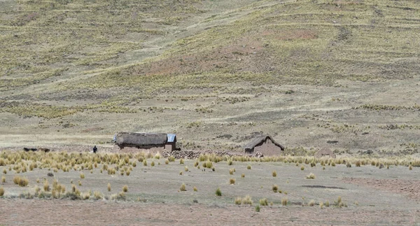 Haut Altiplano Des Andes Péruviens Est Une Zone Spectaculaire Qui — Photo
