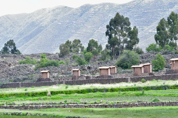 Raqch Temple Wiracocha Est Important Site Archéologique Inca Situé 110 — Photo