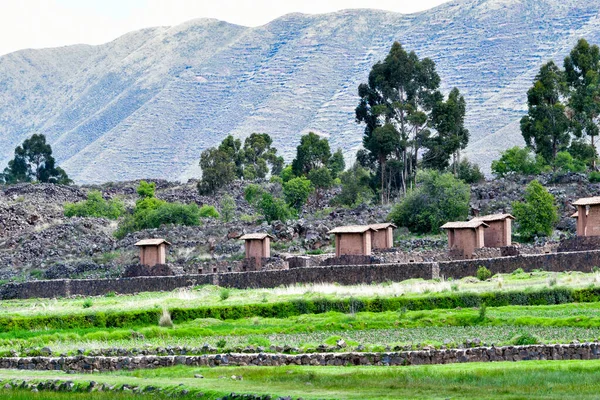 Raqch 'i ya da Wiracocha Tapınağı, Cusco' nun 110 km güneyinde yer alan önemli bir İnka arkeolojik alanıdır. Viracocha (Quechua 'da Wiracocha) İnka tarafından Titicaca Gölü' nden dünyanın yaratıcısı olarak kabul edilmiştir..