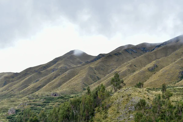 Utsikt Över Anderna Cordilleras Från Larayapass4332Maltitudelarayapass Den Högsta Punkten Sunroad — Stockfoto