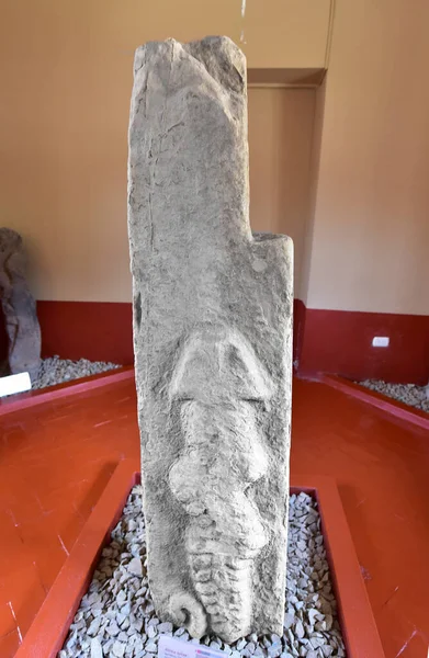 Pukara Arkeoloji Kompleksi-Pukara Müzesi. Yılan ve kertenkeleleri temsil eden yontulmuş heykellerle. İç avlusu olan küçük bir evde, korunmak için burada bulunan cisimler meraklı halka açıktır..